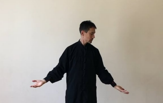 James Saper Between Heaven and Earth Radiant shenti present qigong with qigong master James Saper