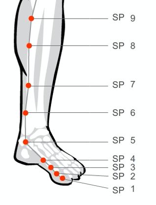 Moxa Two Spleen radiant shenti movement winter challenge mild warm moxa technique for health in the winter spleen moxa points