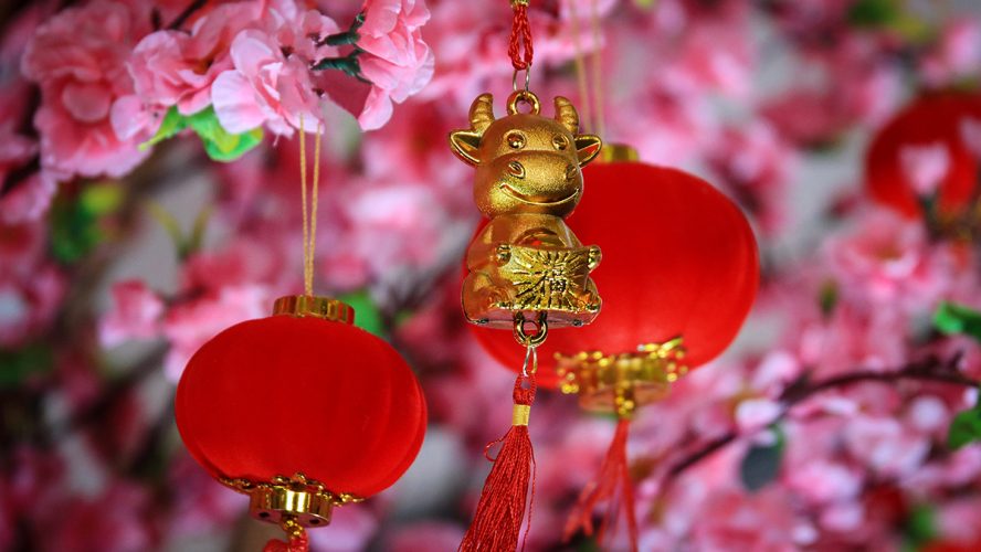 Yin Metal Ox with Blossoms