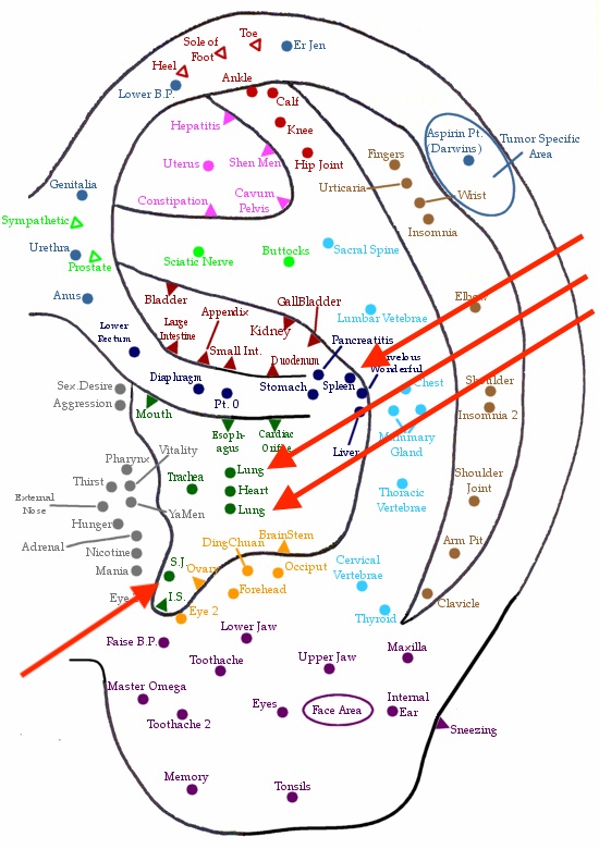Skin Rashes and Itching Auricular Massage