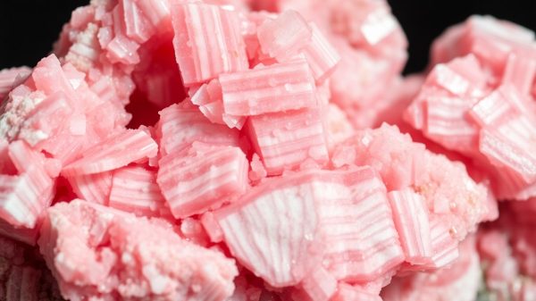 Rhodochrosite in TCM Vibrant rose-pink rhodochrosite crystals with white banding.